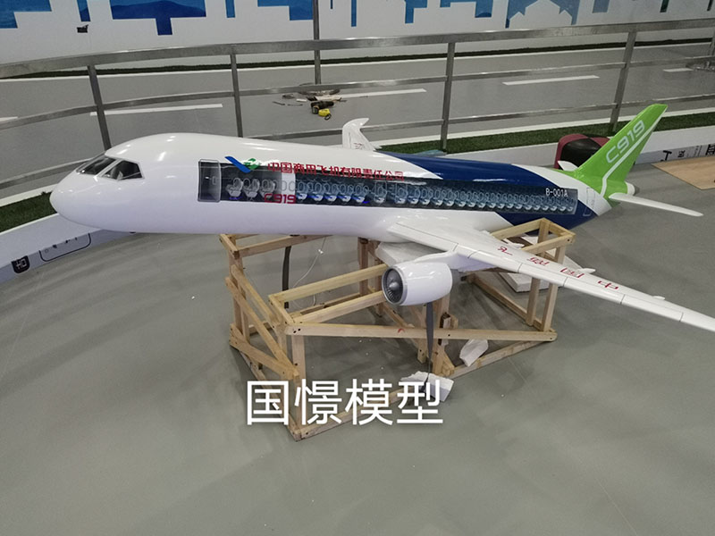 沧县飞机模型